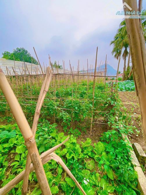 gấp QUÁ Ạ. CHỦ VỪA TÁCH MẢNH ĐẤT CHỤC CHÍNH KINH DOANH TÂN TIẾN- CHƯƠNG MỸ GIÁ HƠN 2TY - 1