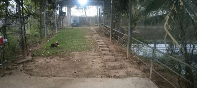 SIÊU ĐẤT 6500M2 - 65X100M - 1400M2 THỔ CƯ - MT HÓC MÔN - QH DÂN CƯ HH - NHỈNH 5X TỶ - 2