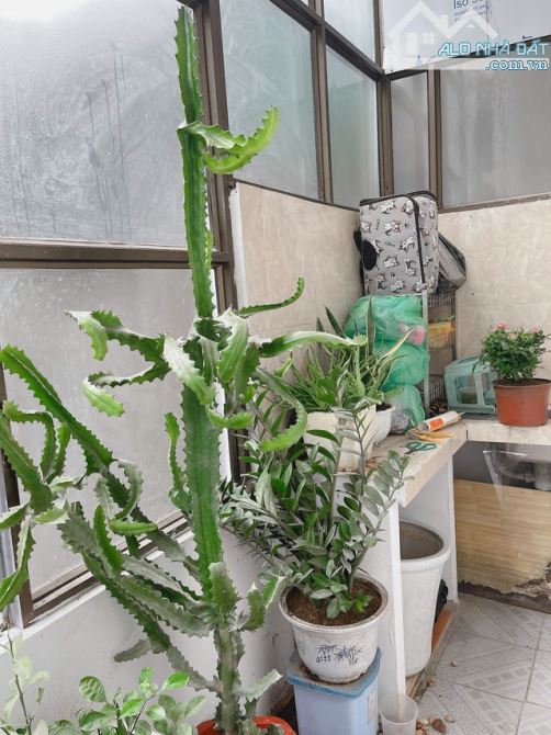 Chính chủ bán gấp nhà Thông Phong Đống Đa, 4 tầng, Giá 4,58 Tỷ - 2