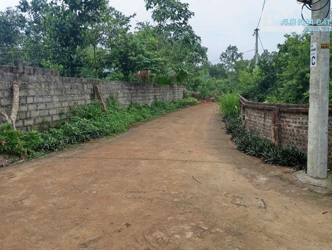 Đất đẹp thôn Rùa, Vân Hòa, gần Tản Lĩnh, 342m, MT 17m, lô góc, oto tránh, thông, 3.09tỷ. - 2