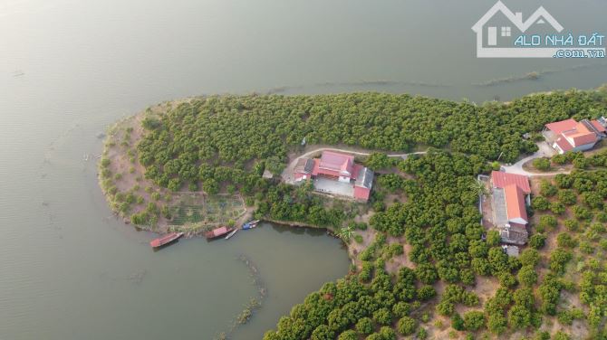 Siêu hiếm! Đất vườn Yên Thế, Bắc Giang 10.000m2, 360TC, Mt 200m 8 tỷ - 2