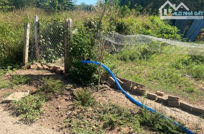 Gia đình đang kẹt tiền cần bán đất vườn 1080m2, Giá 500 triệu, Sổ Riêng - 2
