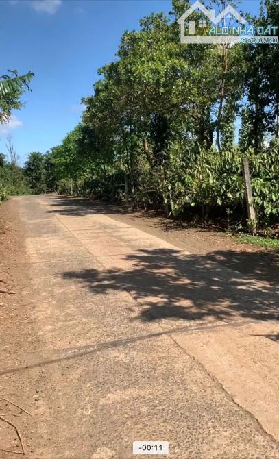 1 sào đất Eakao gần hồ Buôn Bông đường bê tông rộng - 2