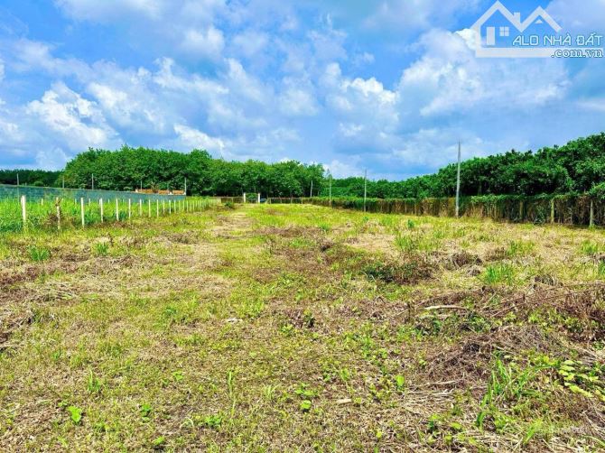 Bán lô đất view Sông Đồng Nai, thuộc Bình Lợi, Vĩnh Cửu, 1100m2, giá 5 tỷ. - 2