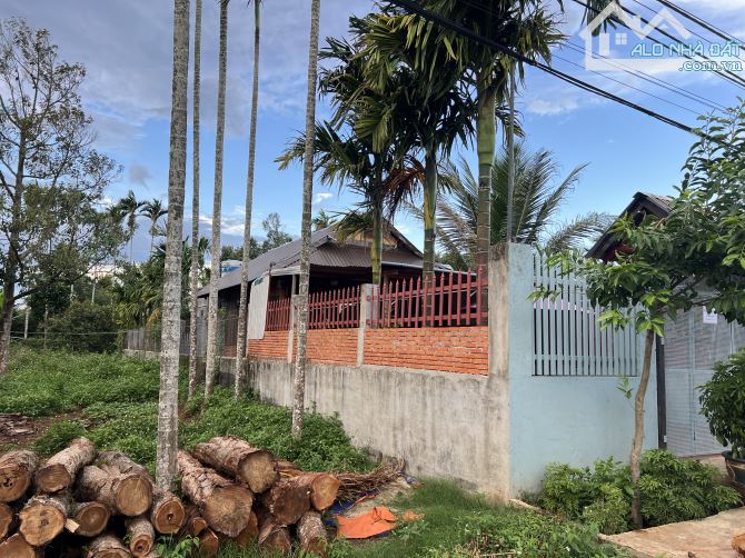 Cần Bán Nhà Thôn 1 Đạt Lý Diện Tích 6x40 Chỉ Cần Dọn Vào Ở Thôi - 2