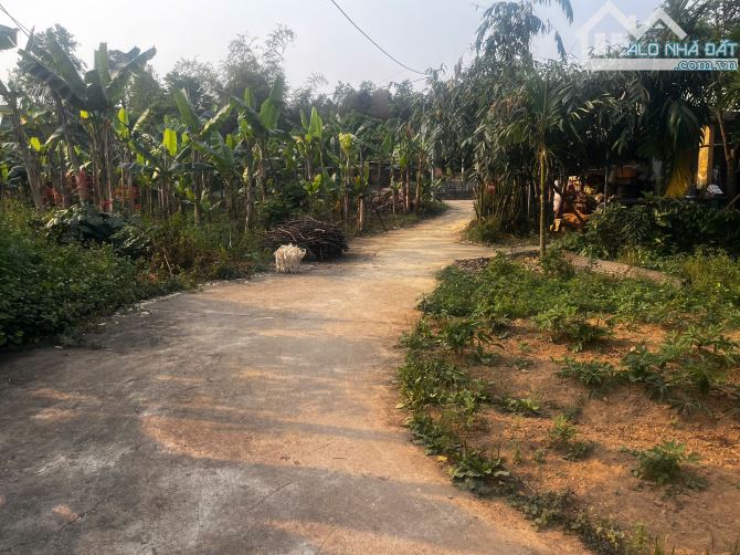 BÁN ĐẤT VƯỜN SIÊU ĐẸP - VIEW CÁNH ĐỒNG MÁT MẺ - 3