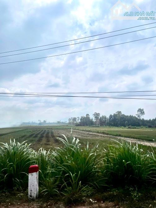 BÁN ĐẤT THĂNG BÌNH QUẢNG NAM , ĐẤT Ở VÀ ĐẤT TRỒNG CÂY - 2