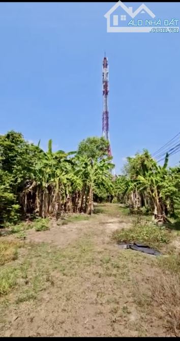 bán gấp 804m2 đất thổ mặt tiền đường nguyễn thị rành củ chi - 3