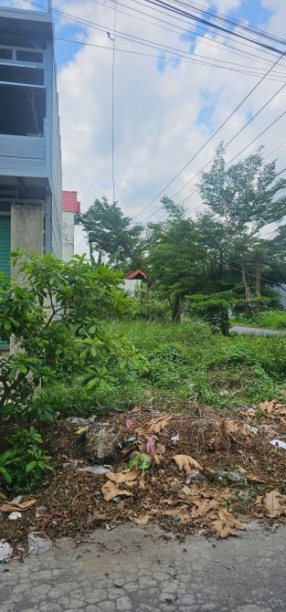 Bán lô đất 8x20 Đường số 7, thị Trấn Đức Hòa, Long AN - 3