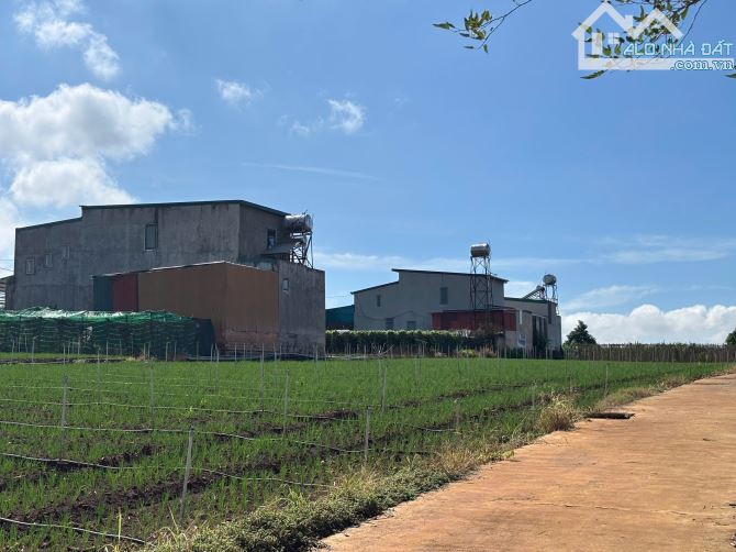 Bán nhanh lô đất nền F0 gần trung tâm hành chính Tỉnh Lâm Đồng, sổ sẵn giá chỉ 1,2 tỷ bao - 3