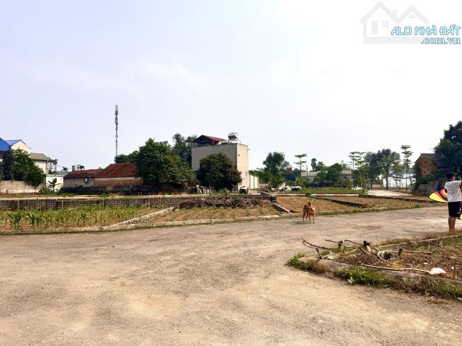 Bán lô đất 96m2 Sen Trì-Bình Yên đường thông, ôtô tránh nhau, - 3