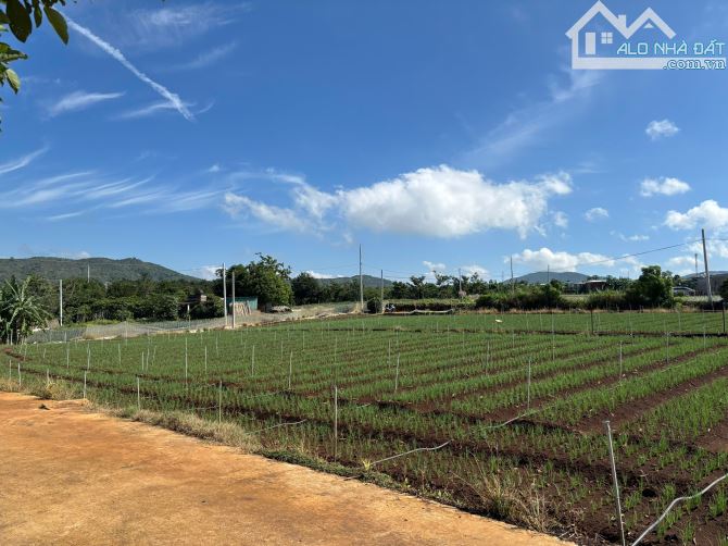 Bán nhanh lô đất thổ cư gần sân bay Liên Khương, Ven Đà Lạt, Xung quanh đầy đủ tiện ích - 3