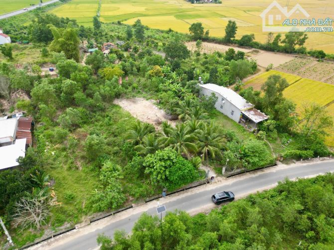 💥💥Bán nhanh lô Diên Thọ, Diên Khánh hơn 1600m ngay nút giao cao tốc Bắc Nam💥 - 4