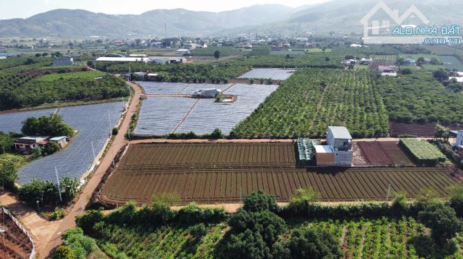 Bán nhanh lô đất nền F0 gần trung tâm hành chính Tỉnh Lâm Đồng, sổ sẵn giá chỉ 1,2 tỷ bao - 4