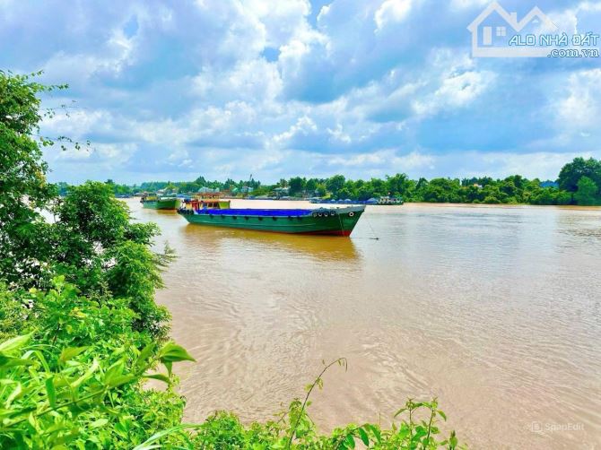 Bán lô đất view Sông Đồng Nai, thuộc Bình Lợi, Vĩnh Cửu, 1100m2, giá 5 tỷ. - 4