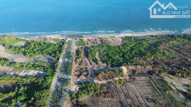 VŨNG TÀU DẬY SÓNG VỚI DỰ ÁN 37.000 TỶ CỦA SUN GROUP - CƠ HỘI ĐẦU TƯ KHÔNG THỂ BỎ QUA - 4