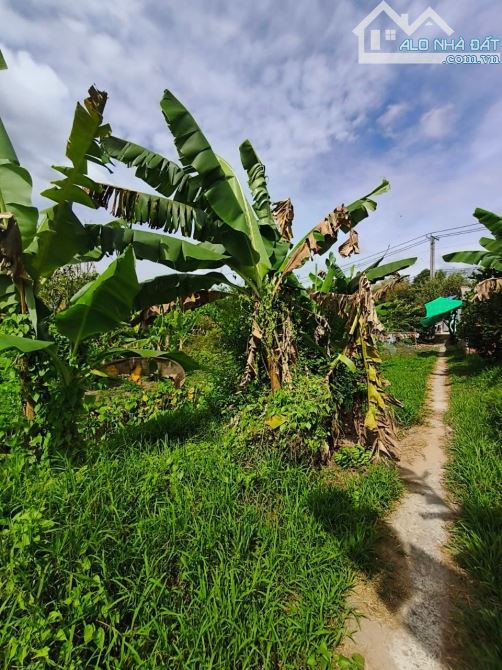 bán đất đường chí sinh, cái răng cần thơ, diện tích đất 2865m2, giá bán 6 Triệu/1m2 - 5