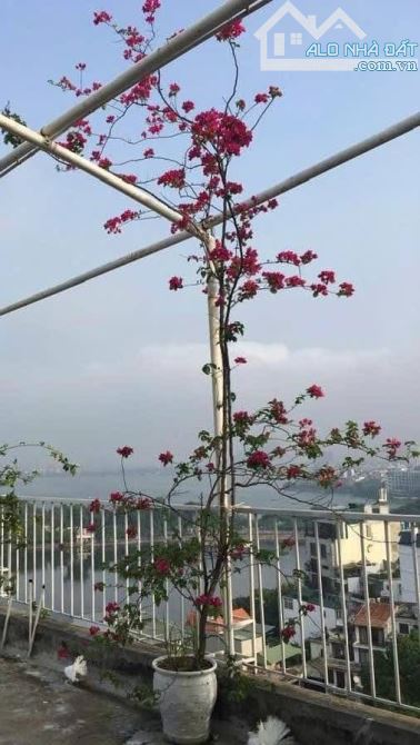 Nguyễn Khắc Hiếu - Ba Đình 212/235m x 15 tầng, mặt tiền 7m, giá 265 tỷ thương lượng - 5