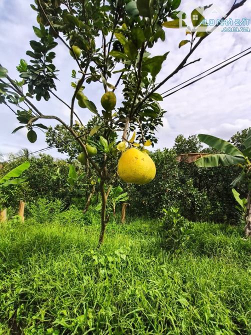 bán đất đường chí sinh, cái răng cần thơ, diện tích đất 2865m2, giá bán 6 Triệu/1m2 - 6