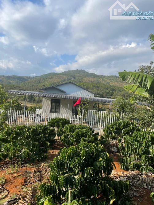 Bán đất tặng nhà xinh có vườn nghỉ dưỡng cách sân Bay Liên Khương chỉ 4km, giá chỉ 1,9trệu - 6