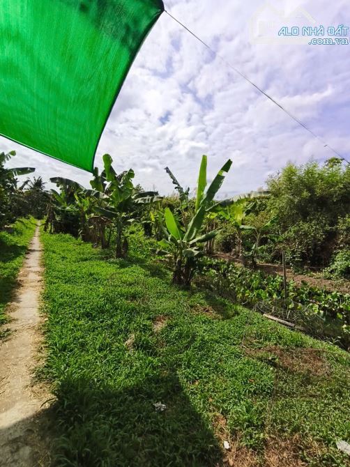 bán đất đường chí sinh, cái răng cần thơ, diện tích đất 2865m2, giá bán 6 Triệu/1m2 - 8