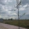 Bán đất gần Quận 2 giá 1 tỷ 3, 168m²