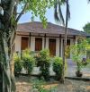 Căn nhà vườn 1336m2 gần bờ kè Trần Phú, thị trấn Diên Khánh giá siêu tốt