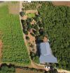 Bán đất tặng nhà xinh có vườn nghỉ dưỡng cách sân Bay Liên Khương chỉ 4km, giá chỉ 1,9trệu