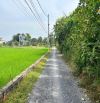 Bán nhà vườn ở hưng long bình chánh giá 5,5 tỷ