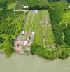 Bán lô đất view Sông Đồng Nai, thuộc Bình Lợi, Vĩnh Cửu, 1100m2, giá 5 tỷ.
