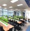 Cho thuê văn phòng chuẩn doanh nghiệp tại New Skyline Văn Quán – TT Hà Đông, giá chỉ 10$