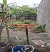 Bán Đất Nở Hậu, Sổ Đỏ Chính Chủ – Vị Trí Thuận Tiện, Giá Hợp Lý Vị