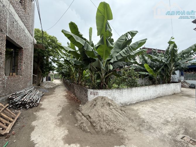 Ra hàng Lô góc 76m Bá Khê - Liên Nghĩa - Văn Giang gần đường Thanh Niên, đường huyện 205… - 3