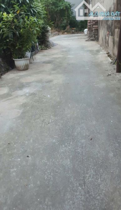 BÁN ĐẤT ĐẸP VẠN PHÚC- THANH TRÌ- GẦN NHÀ VĂN HÓA- ĐẦU TƯ TỐT CHỈ 2,4 TỶ - 1