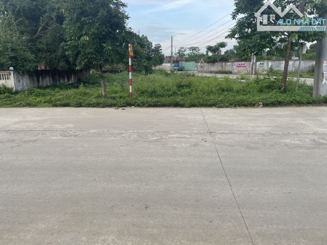 Lô góc 2mt đường Trương Hán Siêu TT.Nho  Quan đối diện Cty May mặc (11,5mx20m)Giá 14Tr/1m - 2