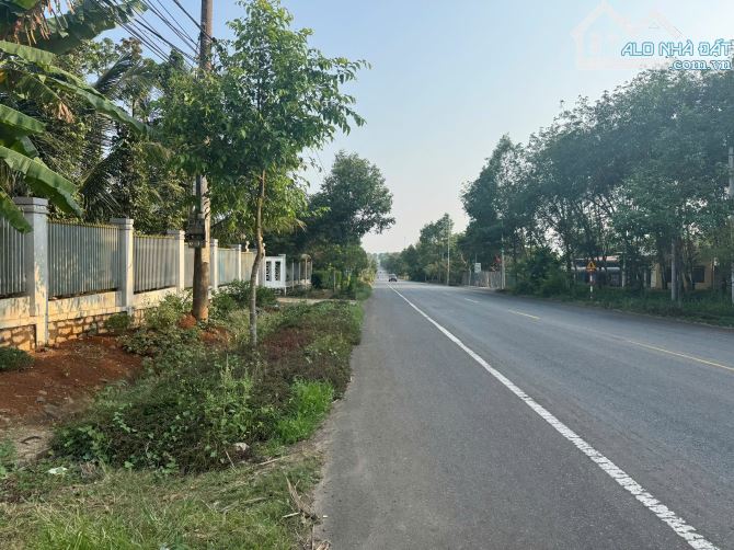 1,2 Hecta với 900 ONT, Hai mặt tiền đường với  32 Mặt tiền Quốc lộ 56, 120m mặt hông - 2