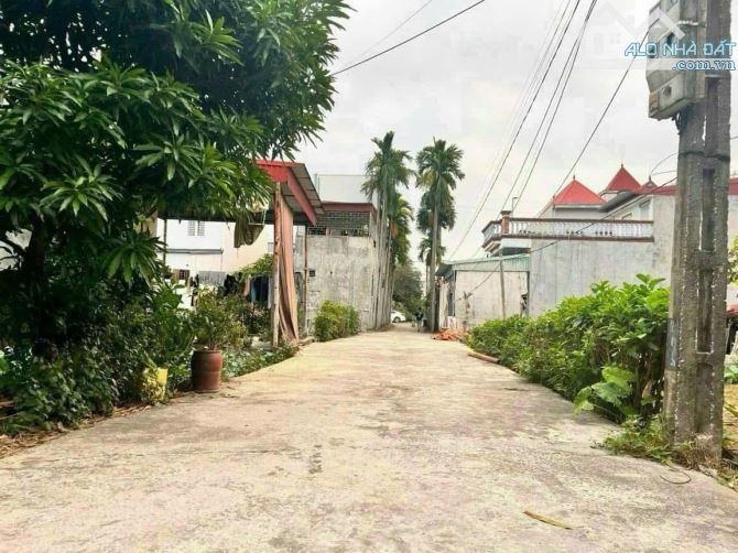 105m2 đất Vũ Hộ, Hải Thành, DƯơng Kinh - 3