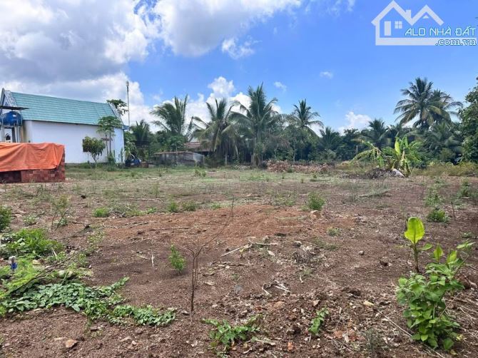 BÁN LÔ BIỆT THỰ QUI HOẠCH FULL THỔ CƯ 1003M2(10MX101M) KHU DÂN CƯ ĐÔNG CHỈ 700 TRIỆU - 3