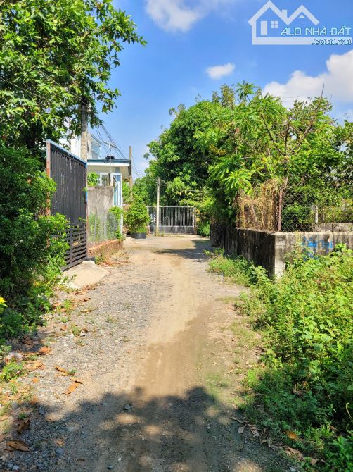 Bán đất 5x23m, hẻm ĐT.743B p.Tân Đông Hiệp gần Trung Tâm Y Tế Dĩ An - 4
