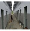 Bán Nhà Trọ Trảng Bàng – Dòng Tiền Ổn Định ~20 Triệu/Tháng – Đối Diện KCN Thành Thành Công