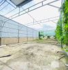 Bán đất full thổ cư đường thạnh Lộc 40 phường thạnh Lộc quận 12