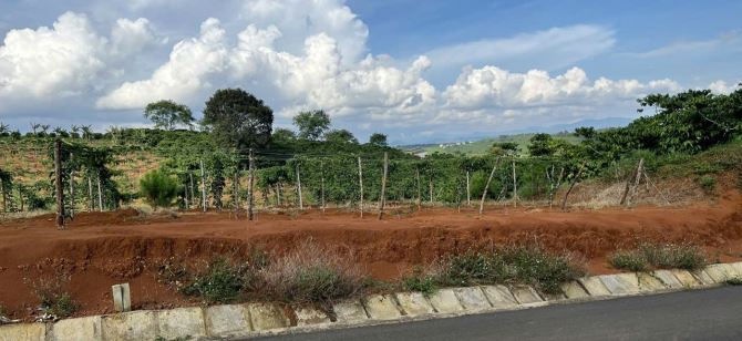 Bán đất mặt tiền đường Trần Quang Khải nối dài. View thoáng đẹp