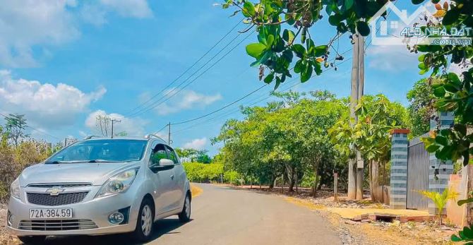 VƯỜN ĐIỀU ĐANG CHO THU HOẠCH, MẶT TIỀN ĐƯỜNG NHỰA, PHỦ HỒNG, CẦN TIỀN BÁN NHANH