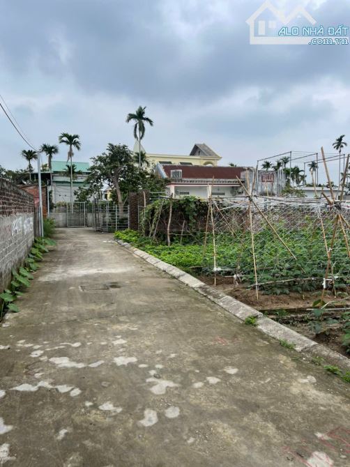 Bán lô đất 60m2 tại Kiều Hạ, Quốc Tuấn, An Dương, Hải Phòng. Giá 750 triệu - 1