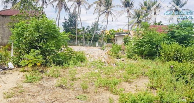 Hội An - Bán 1100m2 Đất View Sông Trực Diện - Gần Biển An Bàng -22trieu/m2 - 1