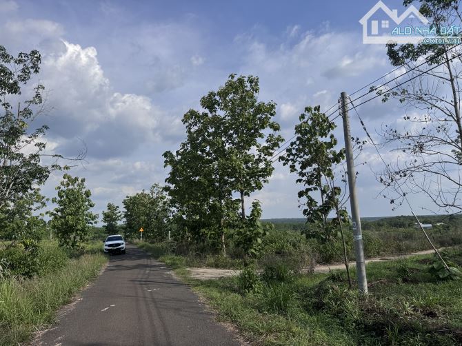 Bán gấp 6,2ha đất vườn view suối – 2 mặt tiền đẹp, có hồng thổ cư – Bình Phước giá tốt! - 1