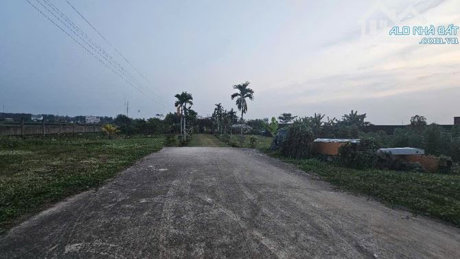 SIÊU ĐẤT VÀNG HÓC MÔN - 65X100M - MT ĐÔNG XE QUA LẠI - LÀM KHO BÃI ĐỈNH - 5X TỶ - SIÊU RẺ - 1