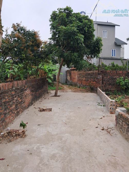 Bán đất 43.8m2 tại Giao Tất A, Kim Sơn đường ô tô vào tận nhà giá chỉ 2.4 tỷ - 1