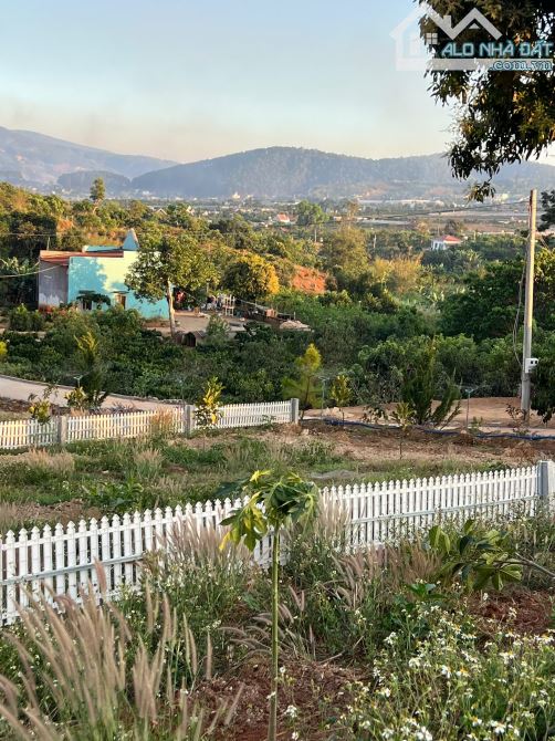 Đất nghỉ dưỡng ven Đà Lạt view thị trấn Nam Ban mới có sổ và thổ cư - 1