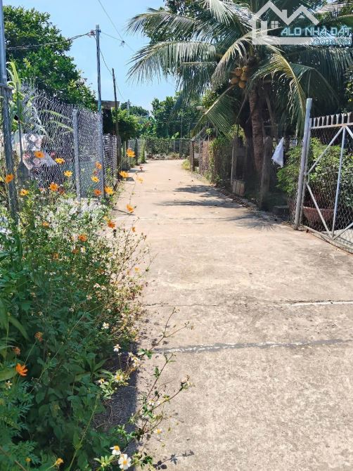 chủ gửi bán lô đất thôn Thượng, xã Diên Lâm. Diên Khánh - 2